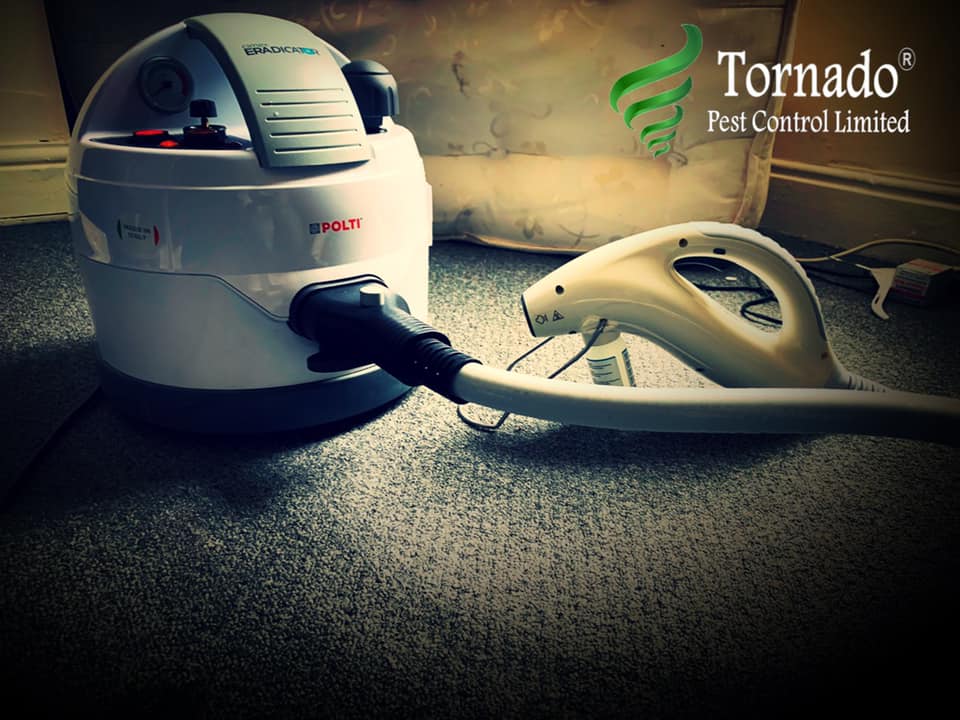 Polti Cimex Eradicator Steam Cleaner for the Elimination of Bedbugs